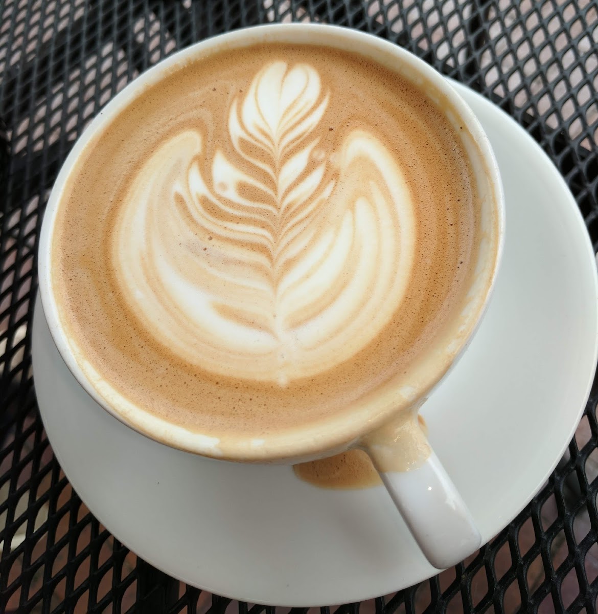 Little Amps Coffee-5